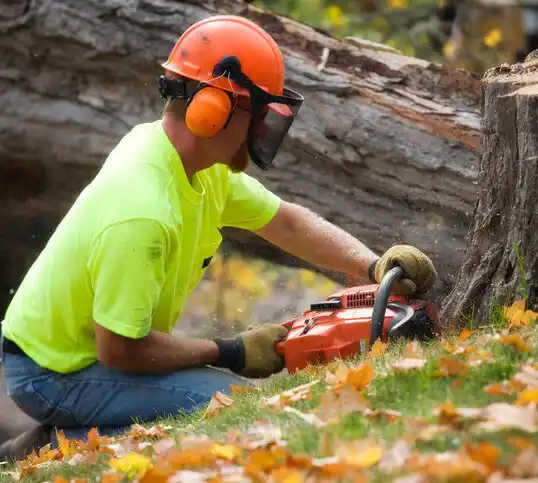 tree services Keansburg